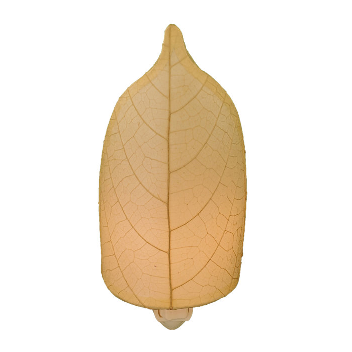 Eangee Home Design Leaf Night Light & Reviews Wayfair